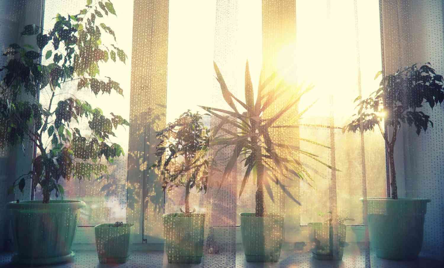 Benefits of Natural Sunlight